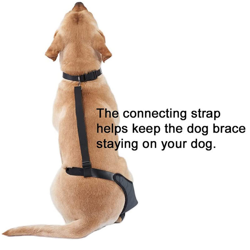 Qcwwy Dog Knee Braces for Hind Leg, Dog Rear Leg Orthotics for Dogs with ACL Kneecap Dislocation, Arthritis, Breathable, Comfortable Dog Joint Protection (M Right Leg)