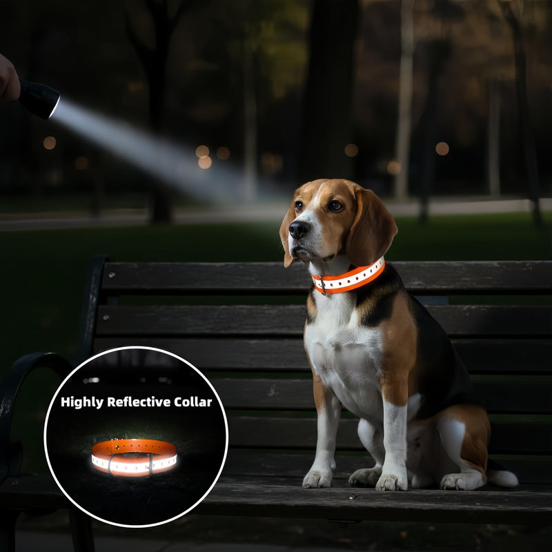 Waterproof Replacement Strap for Shock Collars, Adjustable Bark and E Collar Strap, Fits 5–150 lbs Dogs, Reflective TPU Dog Training and Invisible Fence Replacement Collars 3/4 inch Dog Collar 2 Pack Orange & Black - PawsPlanet Australia
