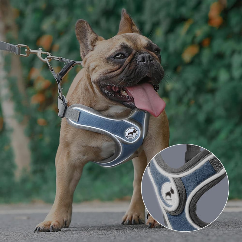 Dog Harness with Leash Set, No Pull Adjustable Step in Dog Collars Harness with Breathable Padded Vest Harness for Small Medium Large Dogs Training and Running(L, Gray) L - PawsPlanet Australia