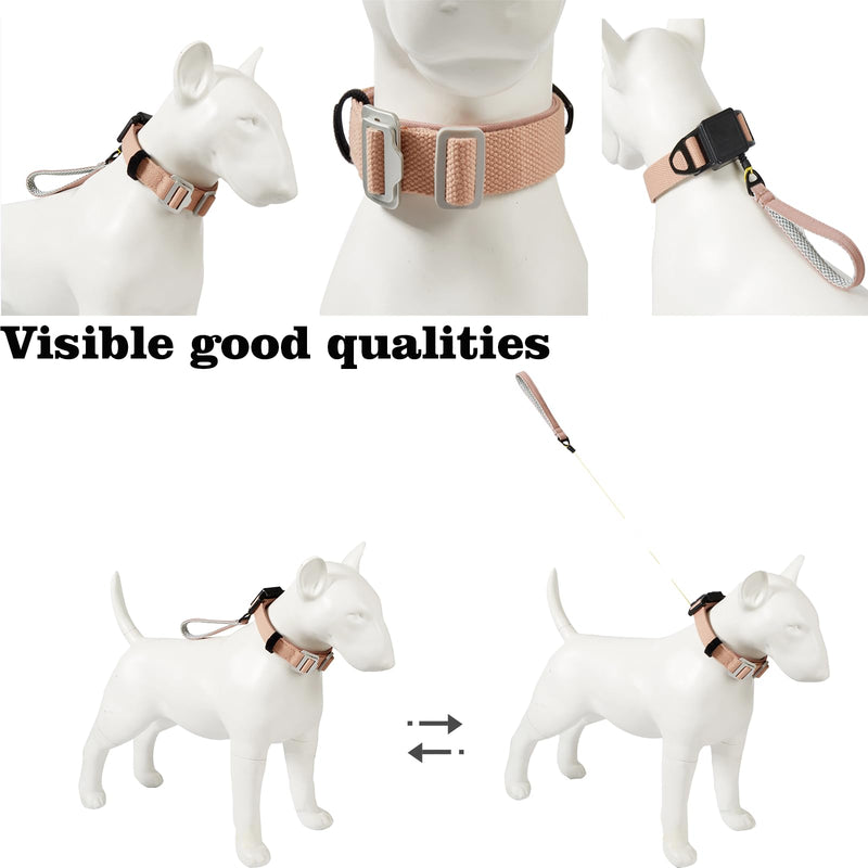 Retractable Dog Leash Collar for Small Medium Dogs - Chew Resistant Kevlar Rope, 5FT Silent Auto-Retraction - 2025 One-Piece with Cotton Padded Adjustable Neck (Purple, M) Purple - PawsPlanet Australia