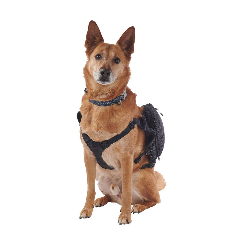 ULTIMATE DIRECTION Dog Vest, Color: Onyx V2, Size: L (80479723ONX-LG) Black Large - PawsPlanet Australia