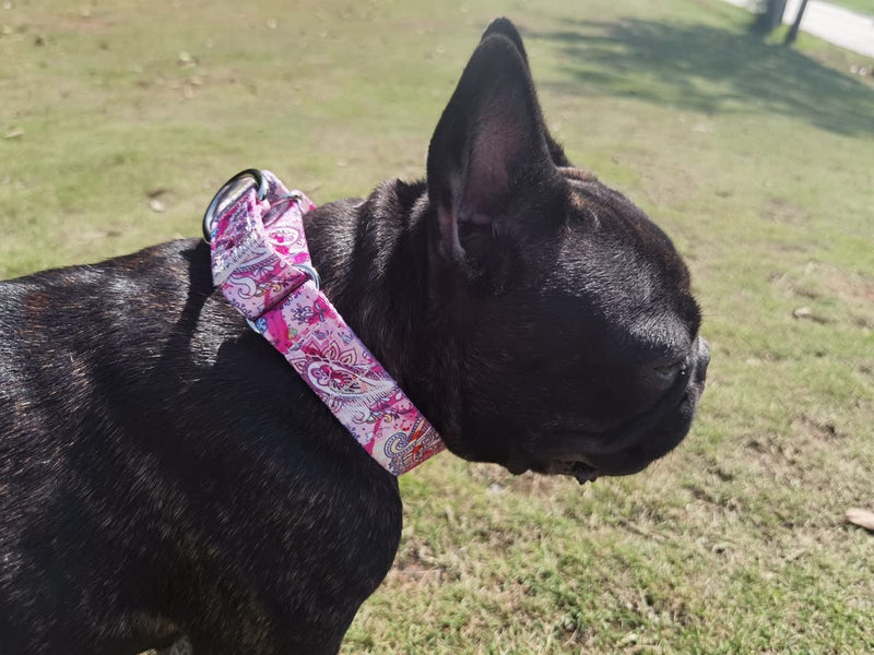 Heavy Duty Nylon Dog Collar, Adjustable Martingale Dog Collar for Walking Training Boy and Girl Dogs Medium Large Dogs (M:36-45CM, Pink) M:36-45CM - PawsPlanet Australia