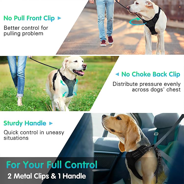OUT'N WILD Quality No-Pull Dog Harness with 2 Leash Clips. Adjustable Soft Padded Reflective No-Choke Pet Oxford Vest, Easy Control Handle, Premium Transparent Buckles and Perl Nickel Hardware:Black/S Black S - PawsPlanet Australia