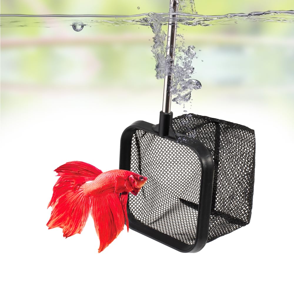 DaToo 3 Inch Aquarium Fish Net for Betta Fish Tank Nano Nylon Net with Extendable Handle 6-16 Inch, 1 Yr Warranty