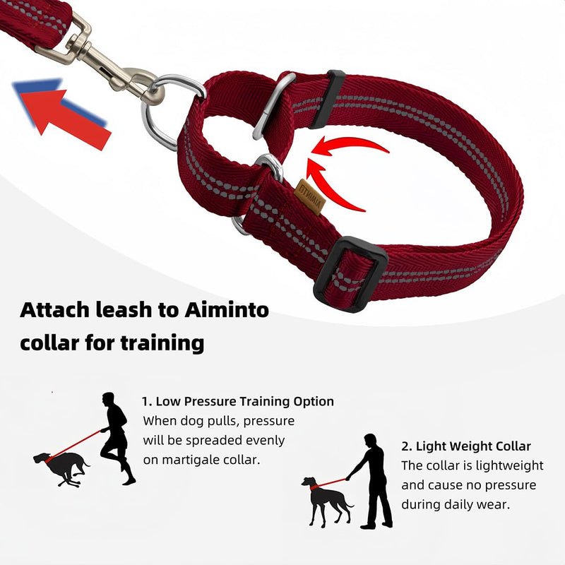 Adjustable Nylon Reflective Martingale Dog Collar for Training and Walking (Red, M (Neck: 15"-22", Width: 3/4")) M (Neck: 15"-22", Width: 3/4") Red - PawsPlanet Australia