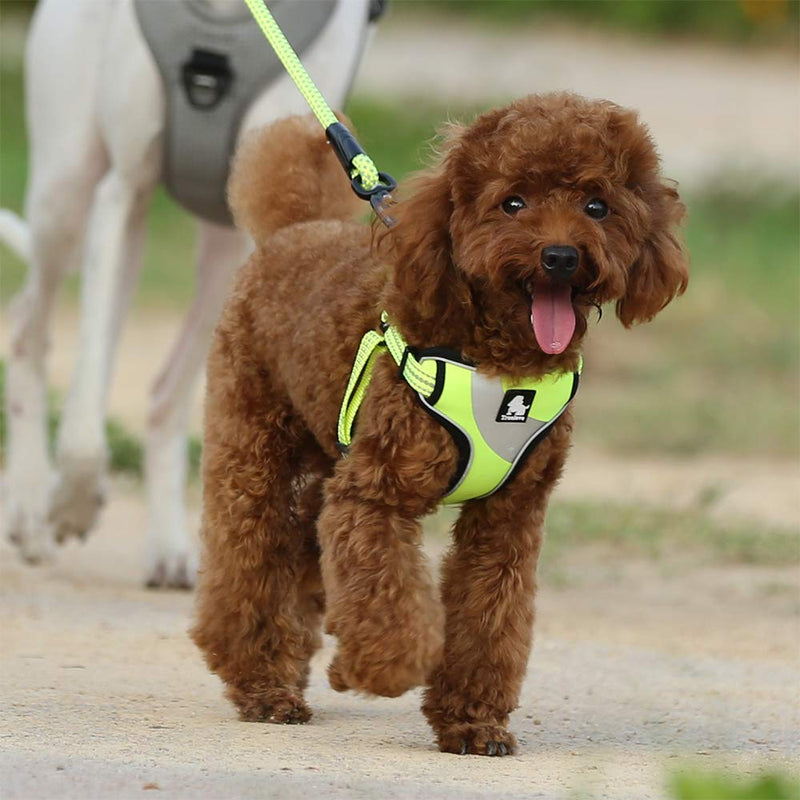 TRUE LOVE Dog Harness TLH5991 Anti Pull Safety Vest Step-in Style Harness for More Comfort and Less Tug Reflective Pet Harness by Truelove S Neon Yellow - PawsPlanet Australia