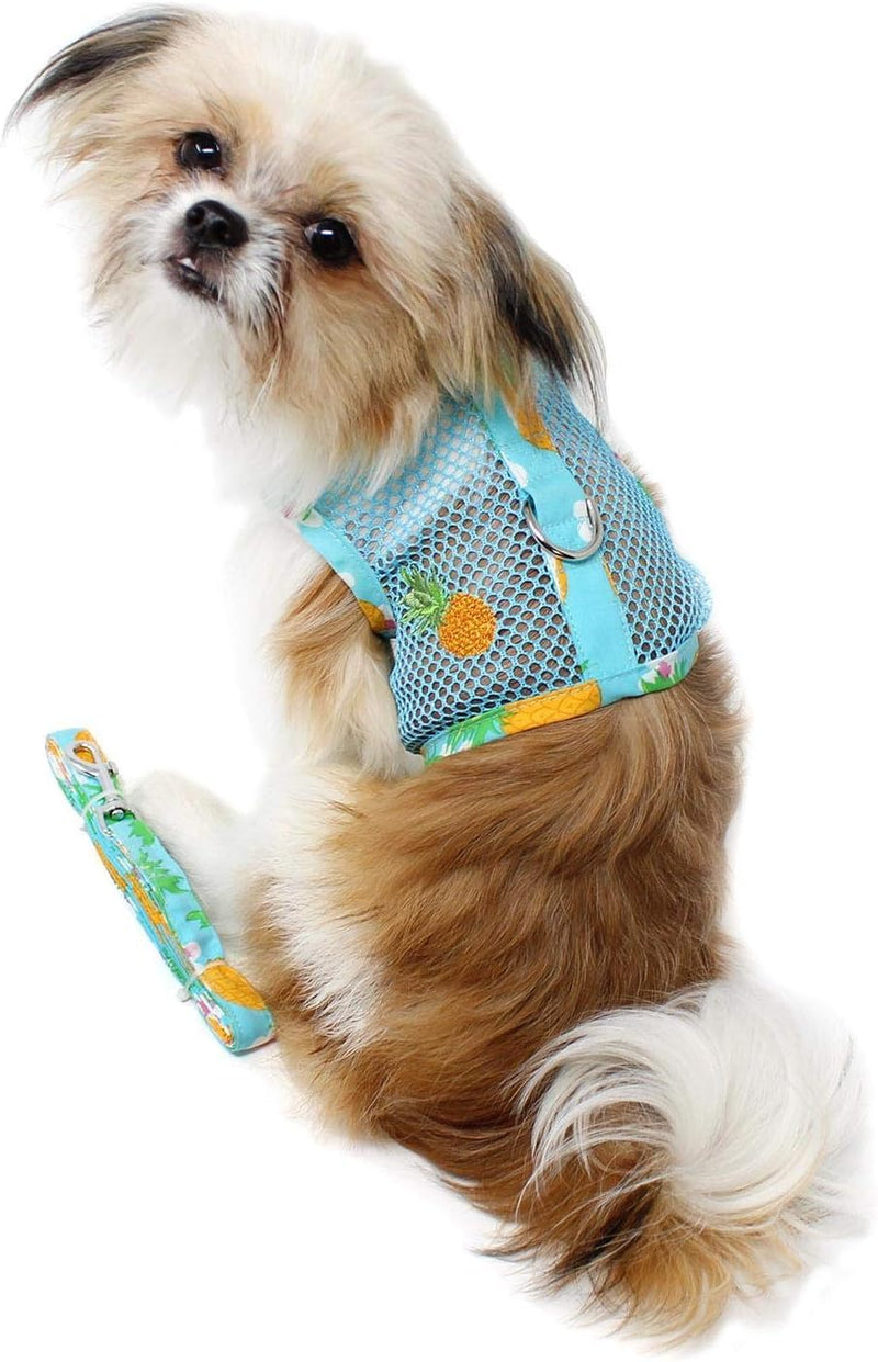 Cool Mesh Dog Harness - Dog Vest for Pets, Simple Step in and Go Design, Harness for Dogs with Leash, Pineapple Luau, Small by Doggie Design - PawsPlanet Australia