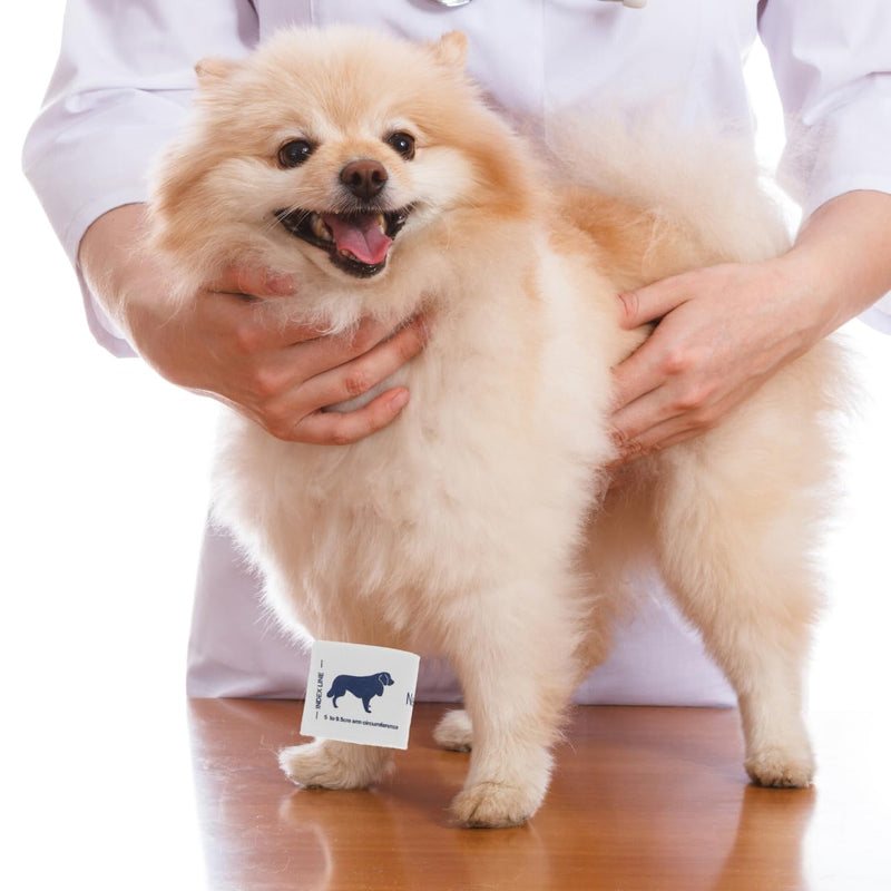 POPETPOP Blood Pressure Cuff for Animals, Universal Size, Reusable Cuff Made of Soft Composite Nonwoven Fabric for Cats and Dogs, Precise Monitoring in Home Use