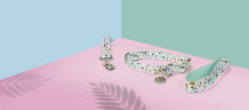 Now House for Pets by Jonathan Adler Mint Terrazzo Collar, Medium | Stylish and Fashionable Way to Keep Your Dog Looking Great | Cute and Adorable Dog Accessories for Pets - PawsPlanet Australia