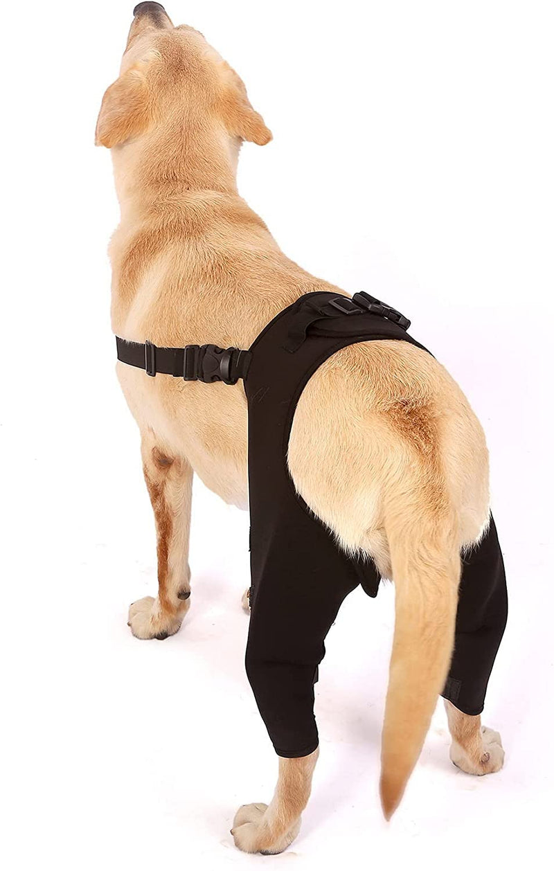 Zerodis Pet Dog Rear Leg Protector, Adjustable Knee Support Leg Support Dog Hock Brace Rear Leg Joint Wrap Protects for Dogs Recover Rear Legs (XS-Black) XS black