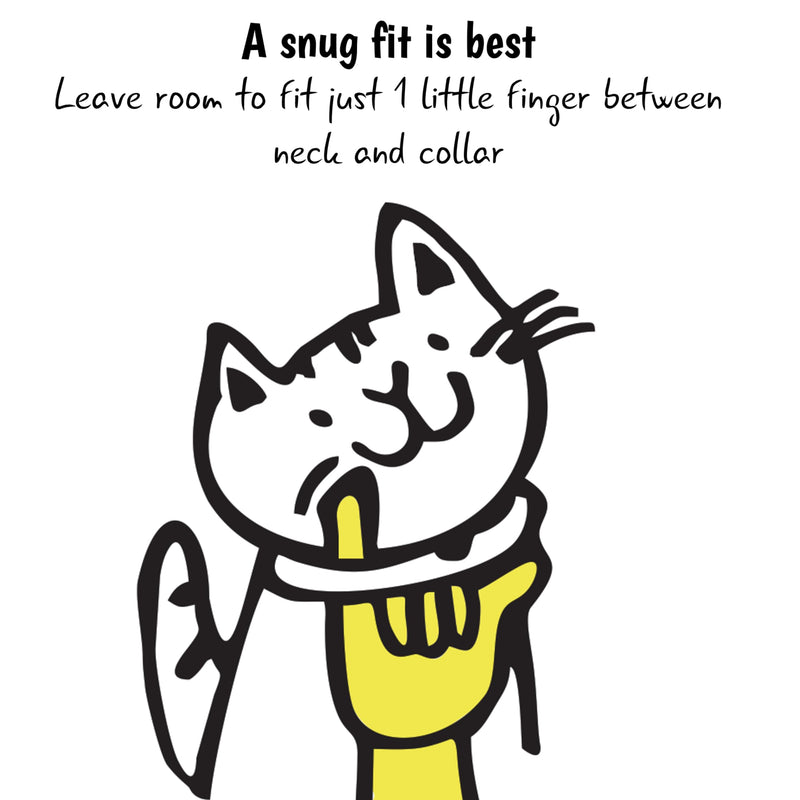 Tangerine Cat Collar with Bell. Cat Friendly Award Winner. Approved by Vets and Cat Experts. Breakaway Cat Collars Quick Release. Kitten Collar. Won't Rub Fur. Lightweight, Soft & Comfy Adult Tangerine - PawsPlanet Australia