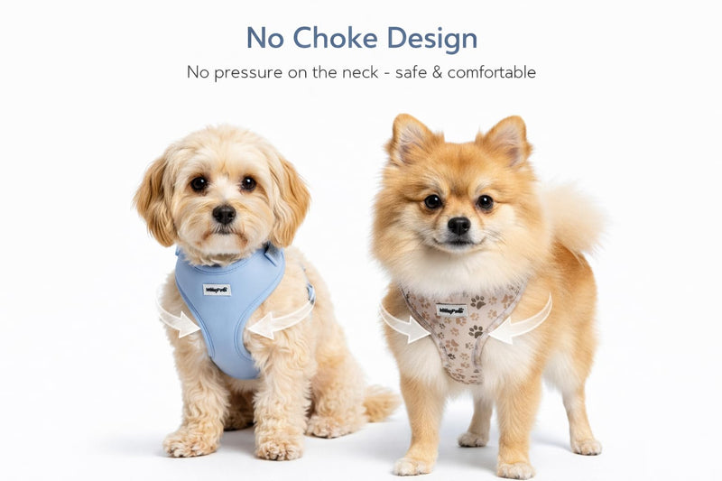 Dog Harness — Soft Adjustable Vest for Small Dogs & Cats, No-Choke, Breathable Mesh, Lightweight, Comfortable Pet Harness Paw Print Medium (12-22 Lb) - PawsPlanet Australia