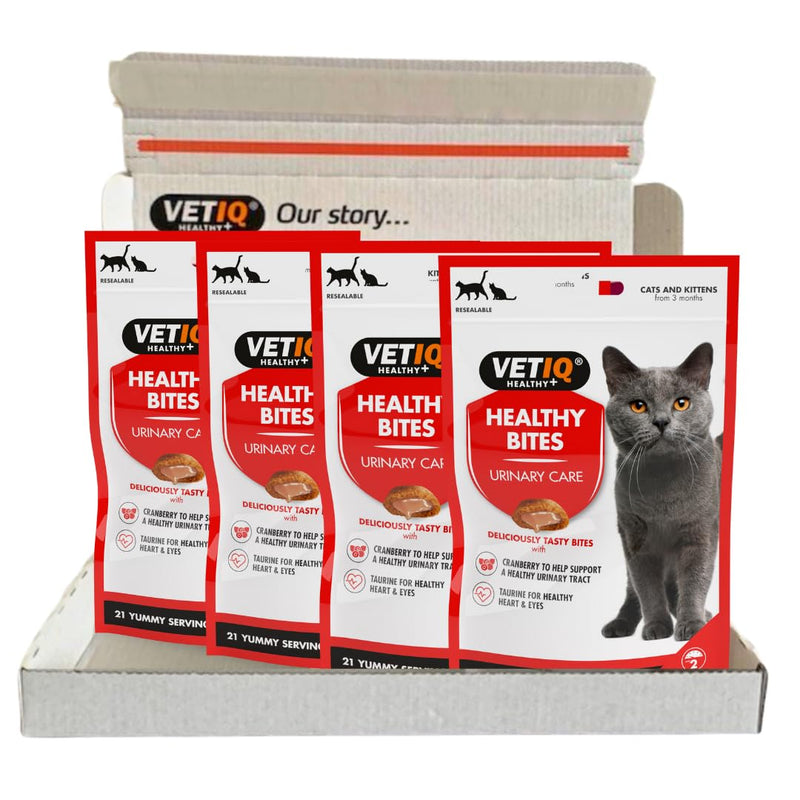VetIQ Healthy Bites Urinary Care Cat Treats, 4x 65g, Cat Supplement with Cranberry For Urinary Tract Health, Kitten Treats with Cheese & Catnip with Prebiotic Fibre For Cat & Kitten Health VETIQ Urinary Care Bites - Cat 65g - PawsPlanet Australia
