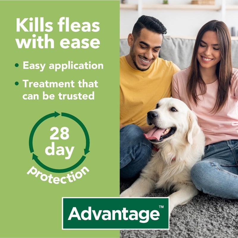 Advantage 400 Flea Spot On Treatment For Dogs 1 Pipette 4.0ml 25-40kg - PawsPlanet Australia