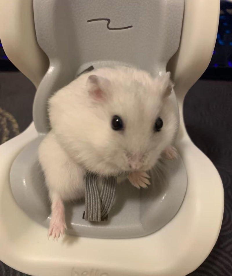 Hamster Car Seat Vent Mount - Adjustable Small Animal Safety Carrier with Secure Buckle, for Hamsters, Gerbils, Mice in Vehicles and Small Animals (Beige) Beige - PawsPlanet Australia