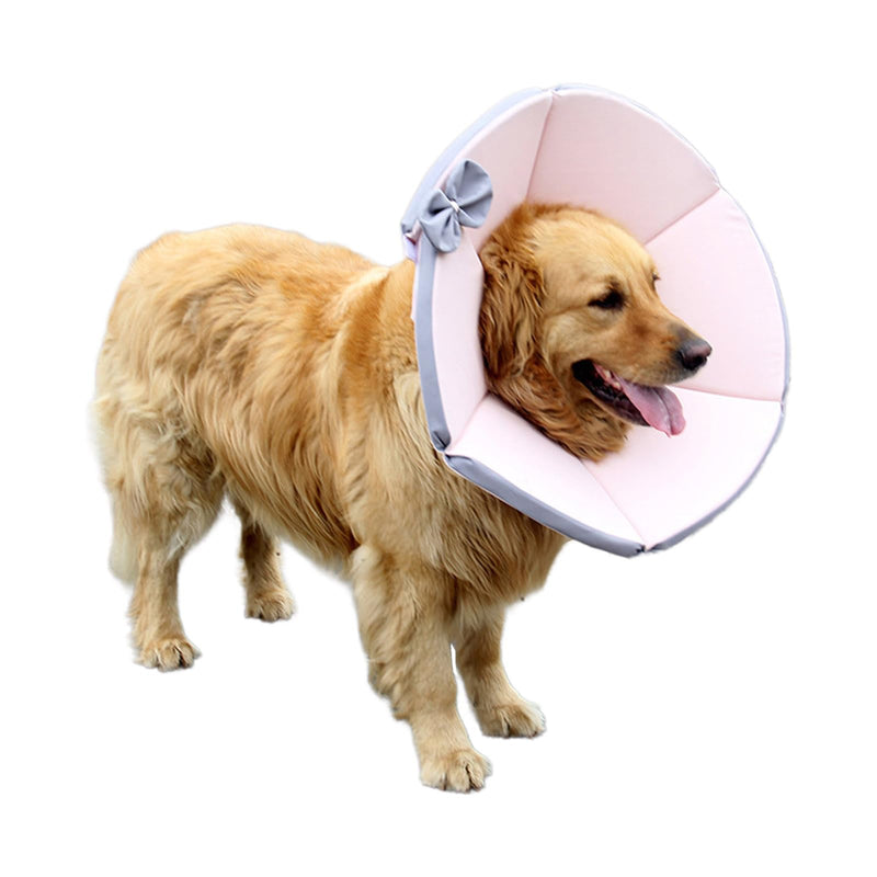 Protector Pet Recovery Holder