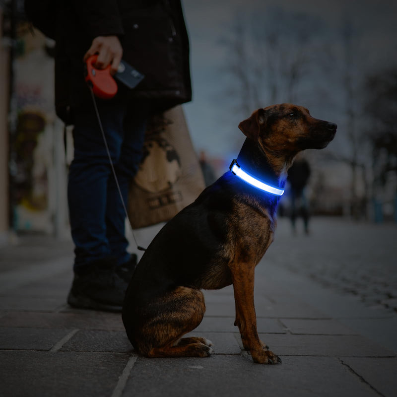 LED Dog Collar, USB Rechargeable Light Up Dog Collars, Adjustable Glow Collars for Dogs,Reusable Safety Dog Collar for Small, Medium, Large Dogs (Blue, Large) Blue - PawsPlanet Australia