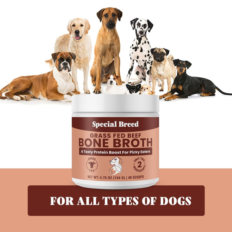Bone Broth Powder for Dogs and Cats - Dog & Cat Food Topper for Picky Eaters - Grass Fed Beef Bone Broth Supplement - Supports Hydration, Joint, Immunity & Heart Health - Serve Dry or Wet - 4.75oz 4.75 Ounce (Pack of 1)