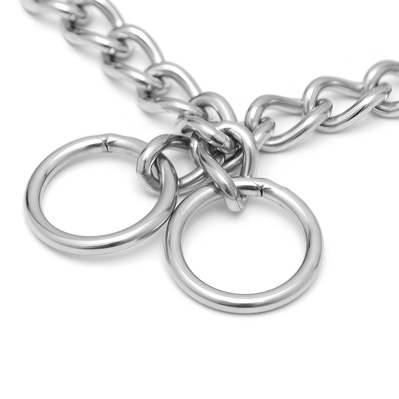 Stainless Steel Choke Chain for Dogs, Metal Slip P-Link Training Heavy Duty Dog Choke Collar Puppy Collars for Small Medium Large Big XL Breed Dogs, Silver L L(Neck Max 20inch)D3.5mm
