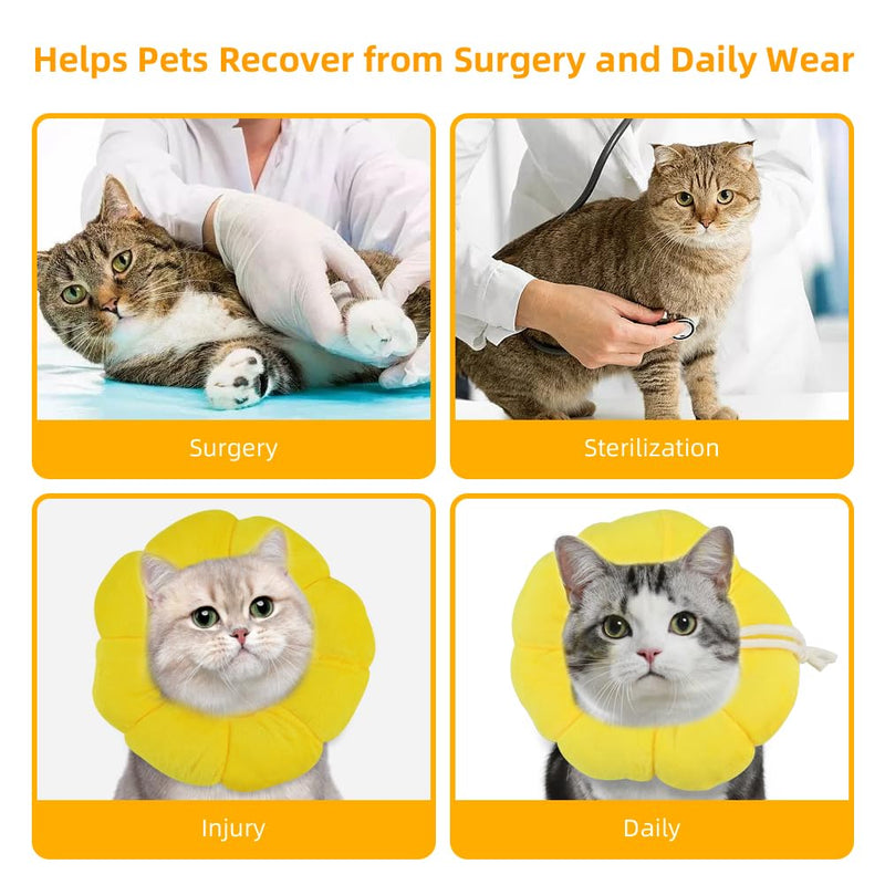 Adjustable Protective Collar for Cat and Puppy，Soft Pet Recovery Collar Does Not Block Vision E Collar，Surgery Recovery Elizabethan Collars - PawsPlanet Australia