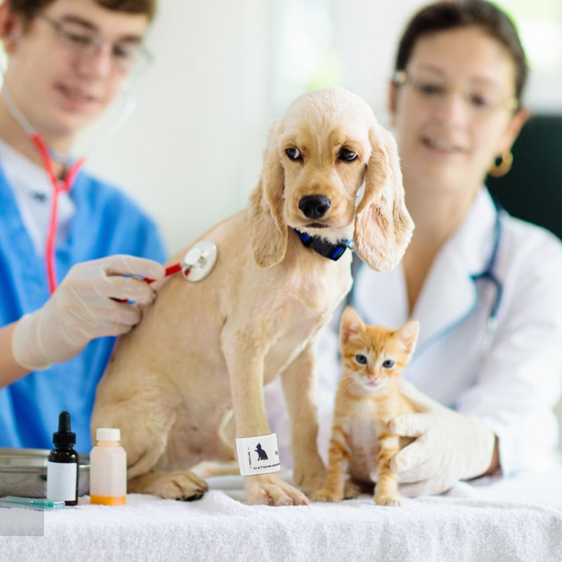 BESPORTBLE Blood Pressure Cuffs Blood Pressure Monitor Cuff for Dogs Portable Blood Pressure Cuff Blood Pressure Monitor Cuff Veterinary Supplies Universal Pet Cuff Fleece Veterinary Blood Pressure Monitor
