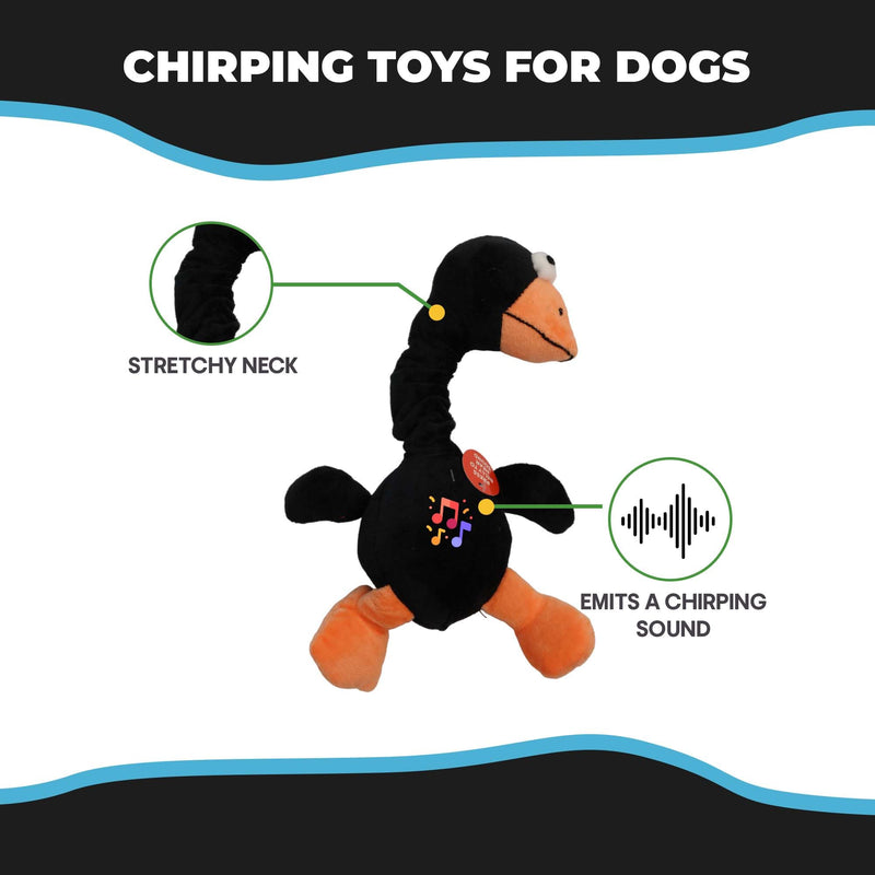 SPOT Ethical Plush Chirpies Assorted Birds 14-Inch Dog Toy