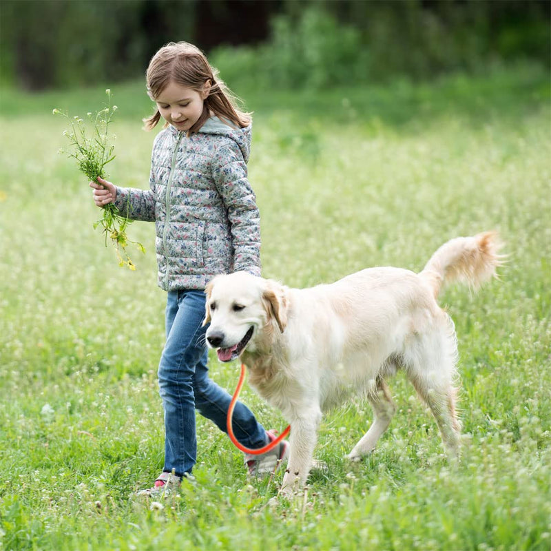 lynxking Dog Leash Rope Dog Training Leash 2FT 6FT Strong Heavy Duty Braided Training Lead Leashes for Small Medium Large Dogs Red Snap Lead-Large 1/2in x 6ft - PawsPlanet Australia