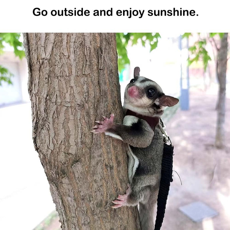 3+1 Sugar Gliders Harness Leash Set with Carrier Carry Carrying Bag Pounch Training Walking Gear Traction Rope Strap Small Animal Leash for Hamster Lizards Dragon Squirrels Rats - PawsPlanet Australia