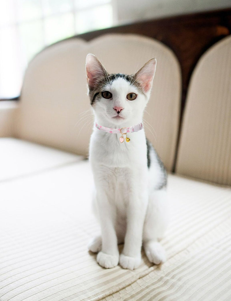 Cat Collar Breakaway with Bells,3 Pack Safety Adjustable Pet Collars,Ideal for Girl Boy Kittens. (Pink White Yellow) pink white yellow - PawsPlanet Australia