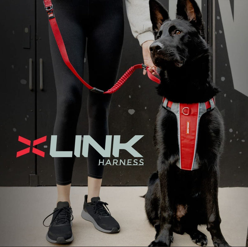EZYDOG X-Link| Dog Harness Small, K9 Dog, Harness Medium, Reflective Stitching, Front & Rear Attachment (Pink, L) Pink - PawsPlanet Australia