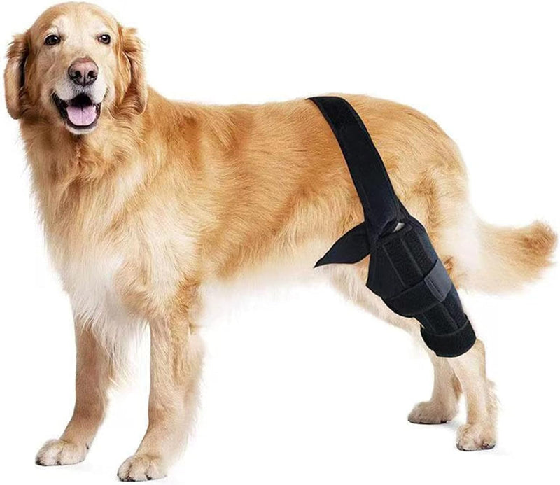 Abnaok Dog Knee Brace, Knee Brace for Dogs ACL, Knee Cap Dislocation, Arthritis, Full Wrap, Easy Adjustable, Extra Support with Reduces Pain and Inflammation - PawsPlanet Australia