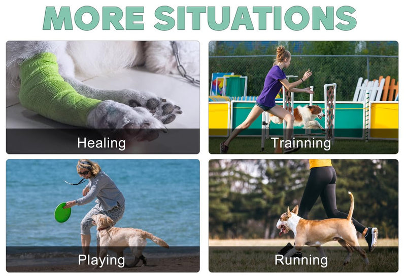 Dog Rear Leg Brace for Hock Joint, Compression Wrap Strong Support Back Leg for Canine Torn ACL & CCL, Injury and Sprain Protection, Keeps Stability for Wounds Care and Arthritis (XS) XS-Right - PawsPlanet Australia