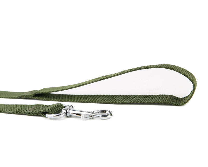 TAIDA Strong Nylon 16 Feet Long Dog Leash, 16 Foot Dog Leashes for Medium Large Dogs, 1 Inch Wide Green - PawsPlanet Australia