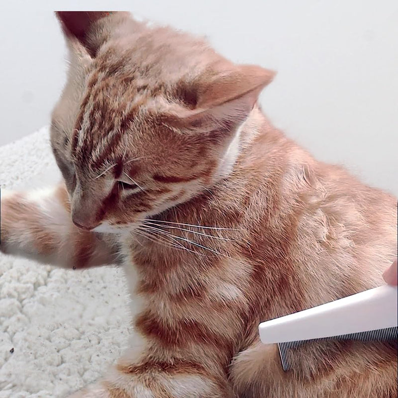 Flea Comb for Dogs and Cats, Pet Flea Comb, Multifunctional Pet Hair Comb Flea and Tear Stain Removal, Flea Comb for Small Dogs, Flea Comb for cats, Pets Grooming Comb Kit for Cats Dogs Puppies - PawsPlanet Australia