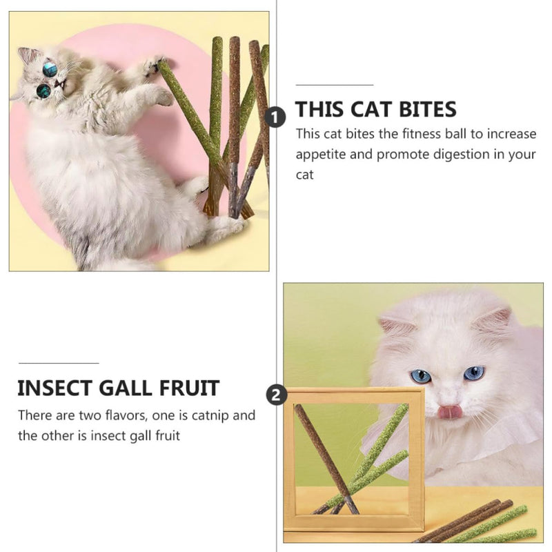 STOBAZA Edible Cat Licks for Dental Care and Improved Tongue Movement, 12 Pieces with Catnip and Bile Fruit for Indoor Cats at Home