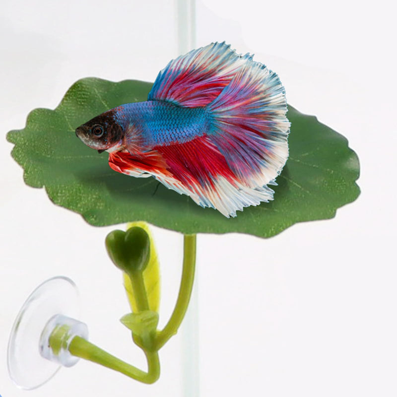 3 pcs Set Betta Fish Bed Leaf Hammock for Betta Fish, Practical Resting Spot, Comfortable Rest Area for Fish Aquarium Decoration Ornaments (3 x Green) 3 x Green - PawsPlanet Australia