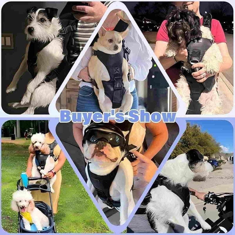 YUDODO 6-11lbs Front Pet Carrier Backpack for Small Dogs and Cats, Secure and Breathable Mesh Travel Dog Carrier with Safety Belt, Ergonomic Support, Adjustable for Walking, Hiking (Black-Pro S) Small (6-11lbs) Black - PawsPlanet Australia