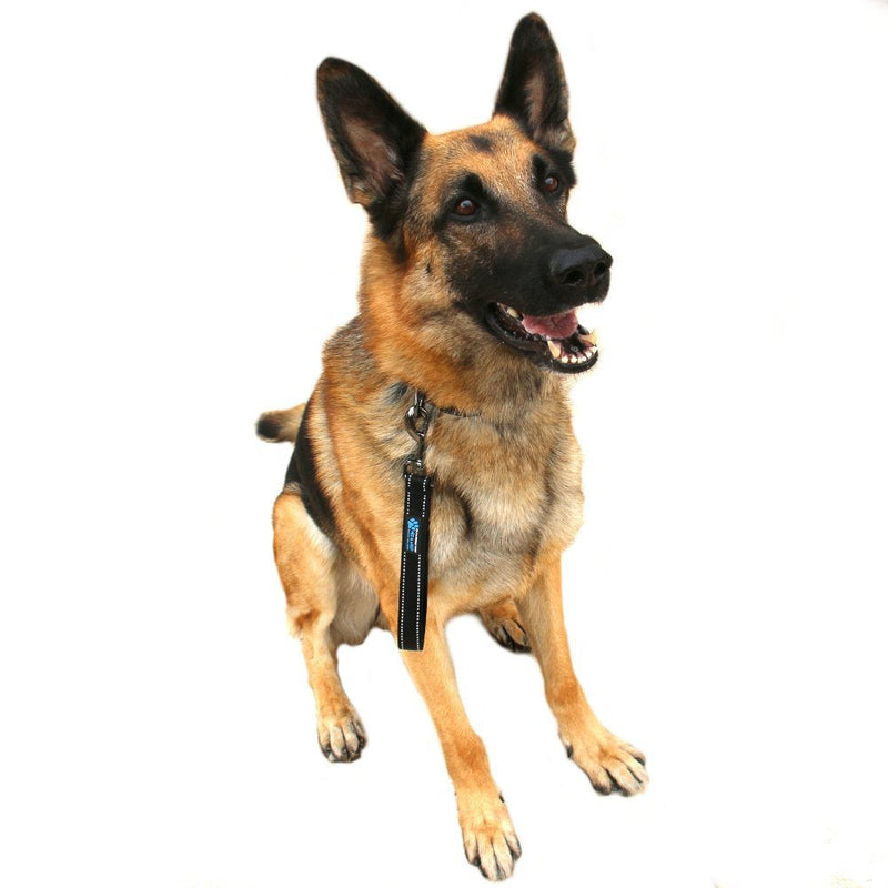 Max and Neo Short Traffic Leash 10" - We Donate One for One a Dog Rescue for Every Leash Sold (Red) RED - PawsPlanet Australia