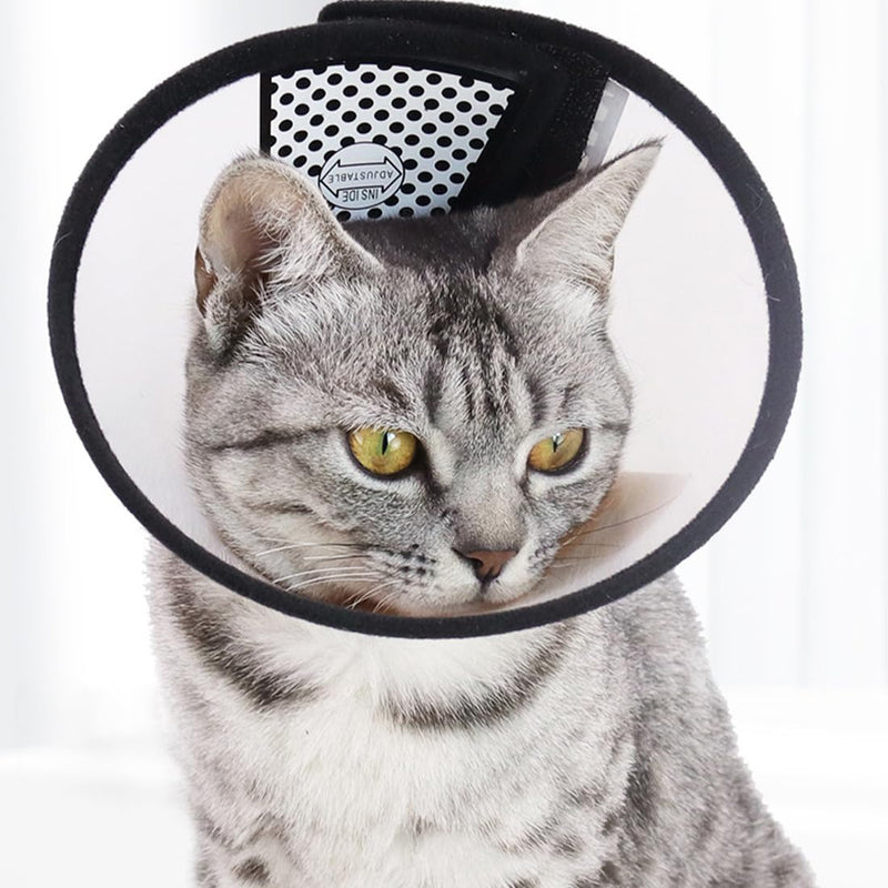 1 Collar for Pets Plastic Elizabethan Plastic Elizabethan Collar Soft Cat Protective Collar Lightweight Elizabethan Collar for Kittens Puppies XS (18-22 cm) White