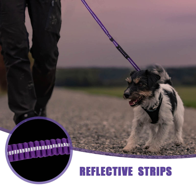 Raipult Shock Absorbing Tactical Dog Leash, 4-6FT Heavy Duty Bungee Leash, Anti-Pull Elastic Training Lead with Car Seatbelt & 2 Handles for Medium Large Dogs,Purple Modern Violet Aviation aluminum - PawsPlanet Australia