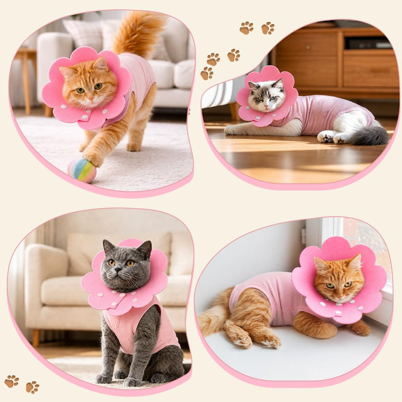 WALLFID Cat Surgical Body with Cat Neck Cone, Recovery Suit after Surgery for neutered, injured, sore-licking and skin-problem cats (M) M