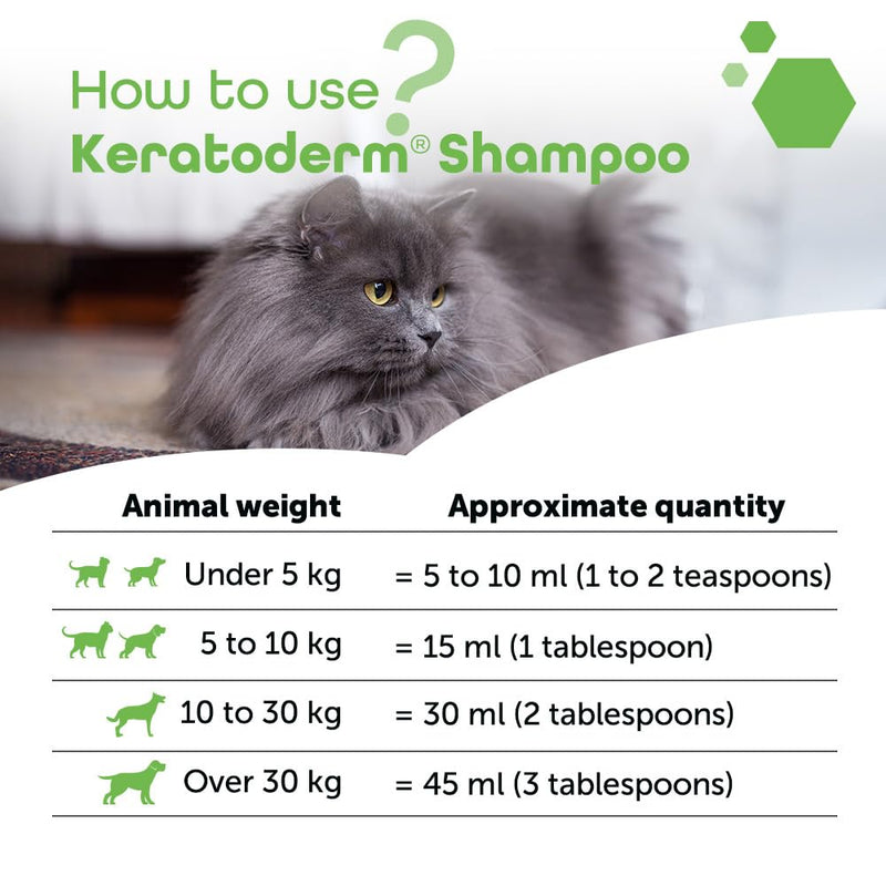 Keratoderm® Dermatology Shampoo for Dogs & Cats – Veterinary Skin Care for Greasy, Flaky & Scaly Skin – Advanced Keratolytic & Sebum-Balancing Formula – 200ml Leak-Proof Tube - PawsPlanet Australia