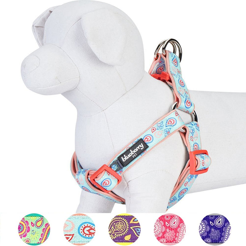 Blueberry Pet 5 Colors Soft & Comfy Step-in Paisley Flower Print Dog Harness, Chest Girth 16.5" - 21.5", Pastel Blue, Small, Adjustable Harnesses for Dogs Small (16.5" - 21.5") Chest Girth - PawsPlanet Australia