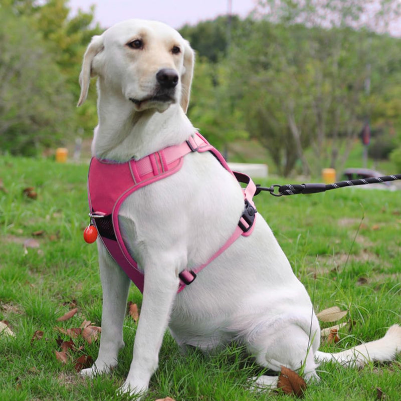 Dog Harness with Airtag Holder, No-Pull Tactical Service Dogs Vest with Handle, Escape Proof Freedom Outdoor Easy Walk Jacket with Back Front Clip for Small Medium Large Breeds,Khaki,M Khaki - PawsPlanet Australia