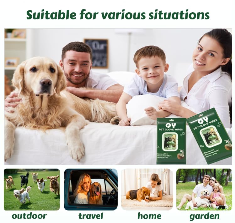 10-Pack Pet Cleaning Glove Wipes with Lid | Extra Thick Dog & Cat Grooming Gloves | Rinse-Free Bath Wipes with Coconut, Aloe, Corn & Jojoba for Odor Control & Daily Care 10 count - PawsPlanet Australia