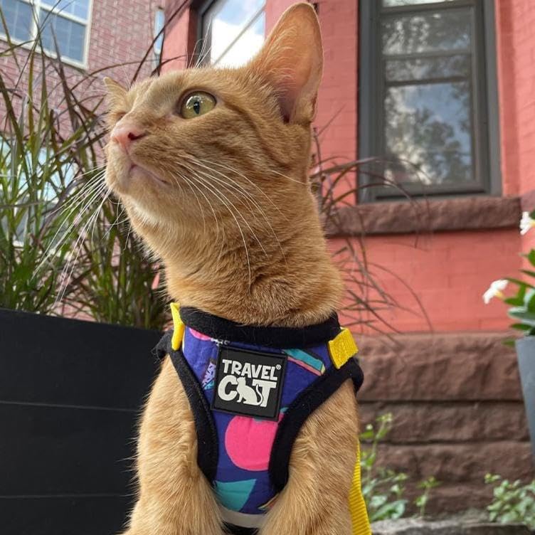 Travel Cat Harness and Leash Set - Adjustable Fit Harness and Reflective Strap - Comfort Walking Vest for Kitten for Outdoor Walking, Hiking (Medium, 90s Cat) Medium - PawsPlanet Australia