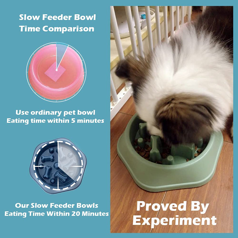 CAISHOW Slow Feeder Dog Bowl Anti Gulping Healthy Eating Interactive Bloat Stop Fun Alternative Non Slip Dog Slow Food Feeding Pet Bowl Slow Eating Healthy Design for Small Medium Size Dogs B.Blue - PawsPlanet Australia