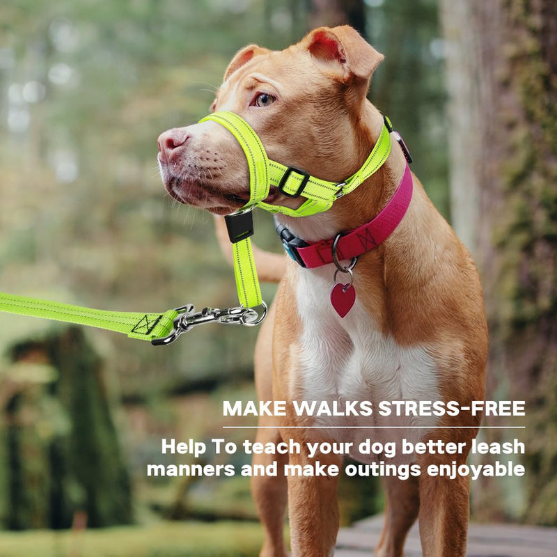 Reflective Dog Headcollar - Adjustable gentle leader Dog Head Halter Stops Heavy Pulling On The Leash - Soft Padded Head Collar for Medium Large Dogs Easier Walks (Medium, Green) - PawsPlanet Australia