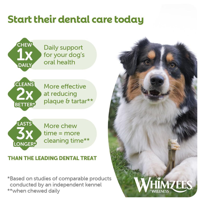 WHIMZEES Toothbrush XS, 48 Pieces – Dog Dental Stix, Size XS, Dog Dental Sticks for Extra Small Breeds, Natural and Grain Free, Rawhide-Free, Vegetarian, No Added Sugar Tasteless Toothbrush XS 360 g (Pack of 1)