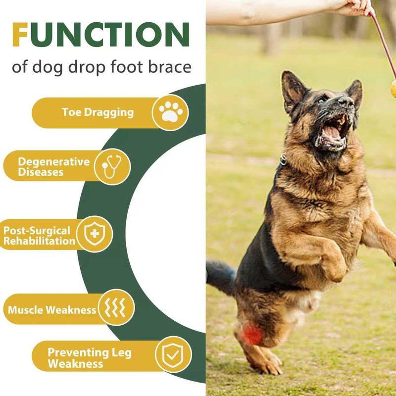 Dog Rear Leg Support Brace for Foot Drop, Canine Knuckling Prevention, Toe Dragging Assistance L